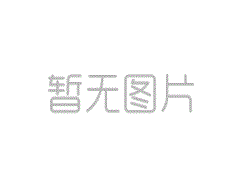 今天早上，四名山东科学和技术工人讲述了该地